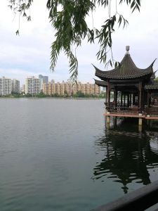 莫愁湖一角