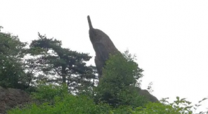 你看像啥