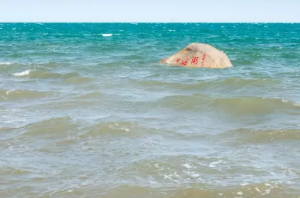 青海湖