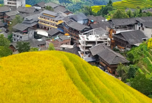 龙脊梯田