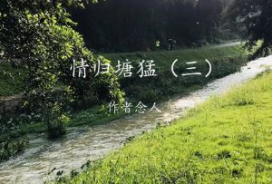 塘猛塘水长流