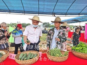 塘猛村产业园产品满目