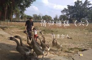 塘猛村的名片
