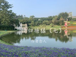 静静的塘猛塘