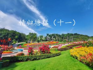 美丽的塘猛村