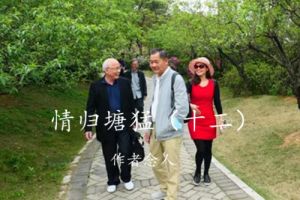 情归塘猛