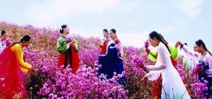 春暖花开