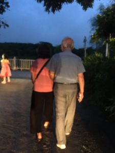 香蕉园里的歌声