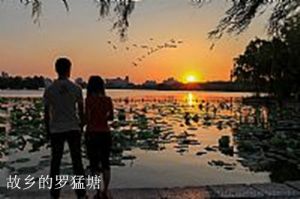 故乡的罗猛塘
