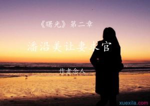 潘沿美让妻求官