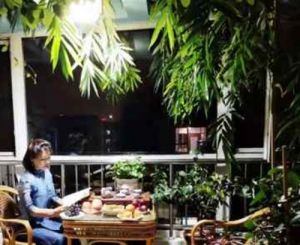 广东人的夜宵