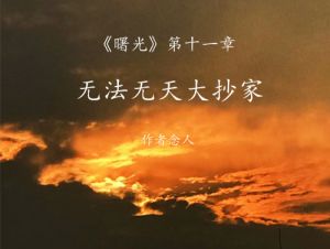 无法无天大抄家