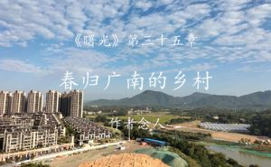 春归广南的乡村