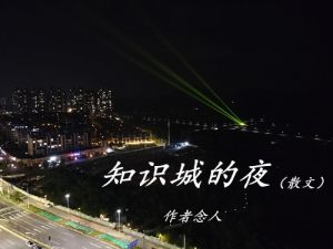知识城的夜