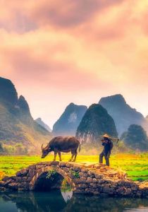 秋分寄语