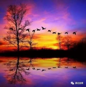 中华词赋