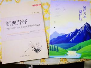 获奖作品集