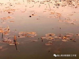 摄影习作
