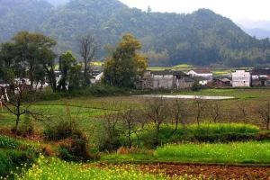 小山村