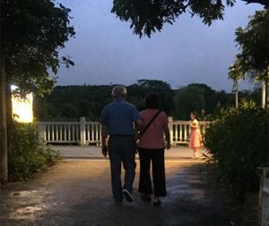 交通亭的夜晚