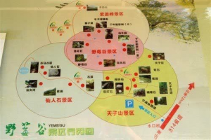 野莓谷风景区
