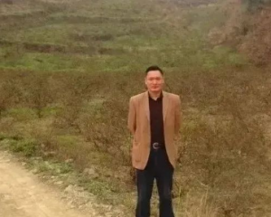 张华