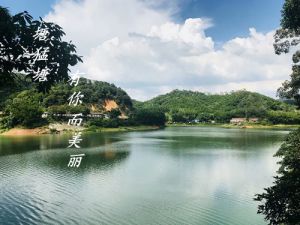 美丽的塘猛塘