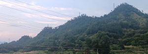 五指山