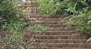 台阶