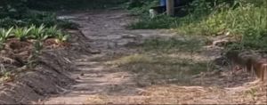 上张老路