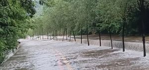 2023年7月28日永安溪距道坑