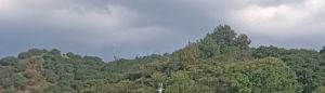 仙居步管线一侧山峰