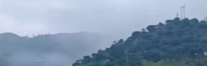 实拍图片