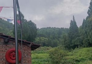 青山