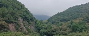 青山