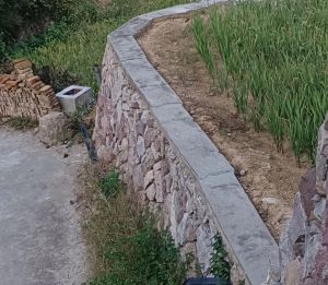 当年宅基地已经改田