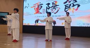 表演节目