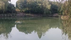 映月湖