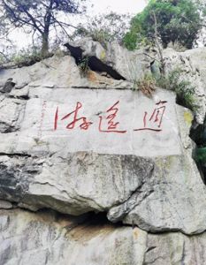 逍遥游            摄影：扬眉