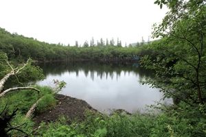 　　8. 小有天池           摄影：扬眉