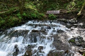 冰水泉            摄影：扬眉