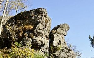 再别仙峰
