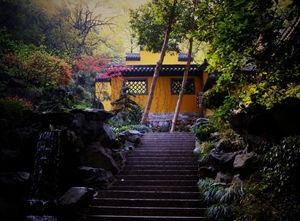 隐居山林