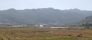 金黄色田野