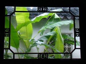 芭蕉