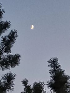 皓月当空