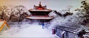 摄影作品3