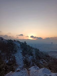 老虎山上望余雪