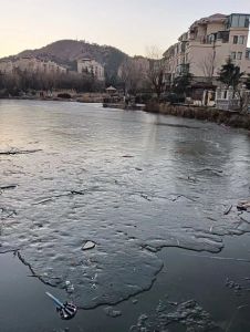 池塘位于湖山美地小区西侧，老虎山东侧山脚下。