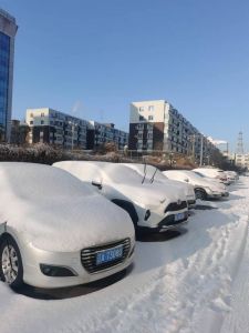 北国之雪